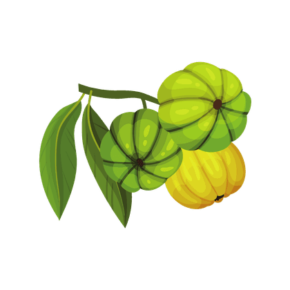 Гарциния камбоджийская