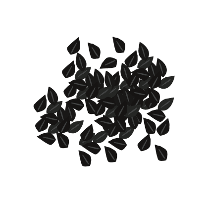 Чёрный тмин