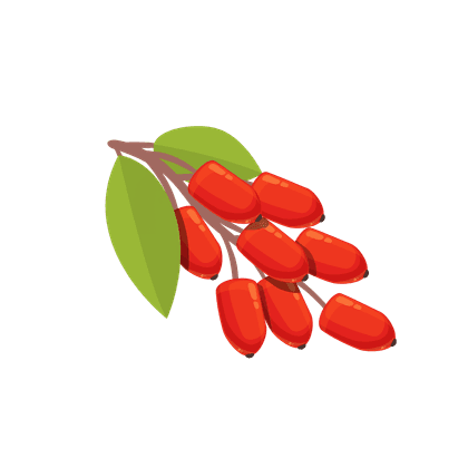 Ягоды годжи